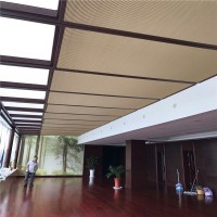 陽(yáng)光房頂棚天窗遮陽(yáng)電動(dòng)蜂巢簾
