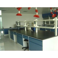 實(shí)驗(yàn)室通風(fēng)柜，鹽城化驗(yàn)室通風(fēng)櫥