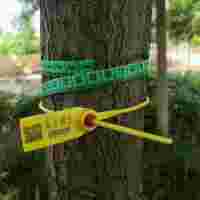樹鎖，號(hào)樹鎖，塑料扎帶