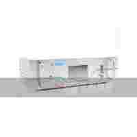 天禹智控紅外生物質氣分析儀（在線型）TY-6331