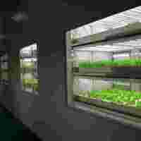 人工氣候室【筑安金】