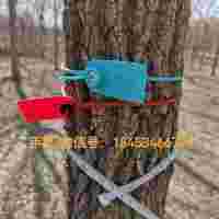 樹鎖標(biāo)牌號(hào)樹鎖 卡扣封簽