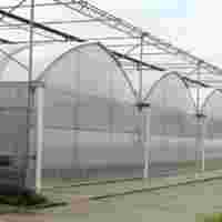 承接四川成都蔬菜溫室大棚育苗溫室大棚【筑安金】