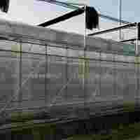 承接江西南昌撫州薄膜連棟溫室大棚蔬菜溫室大棚【筑安金】