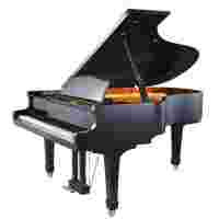 德國博蘭鋼琴，上海鋼琴批發(fā)，上海鋼琴廠家，上海三角鋼琴