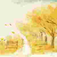 2024青島大健康產(chǎn)業(yè)展覽會暨中醫(yī)養(yǎng)生博覽會