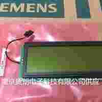 顯示屏（C79451-A3494-B16）