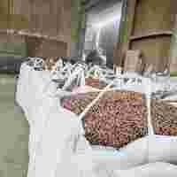 湖州生物質顆粒,宣城生物質燃料,浙江實木木質顆粒