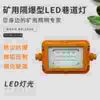 益煤礦用隔爆型巷道燈DGS40/127(A)小方形巷道照明燈
